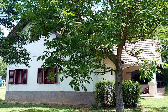 István Pince Vendégház-Zamárdi-29473