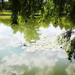 Jana Vendégház-Békésszentandrás-27936