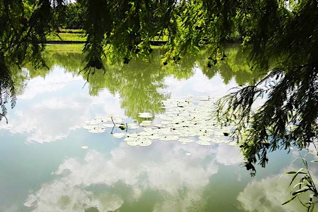 Jana Vendégház-Békésszentandrás-27936