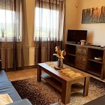 Jégmadár Festő Porta-Dunaszentmiklós-71456