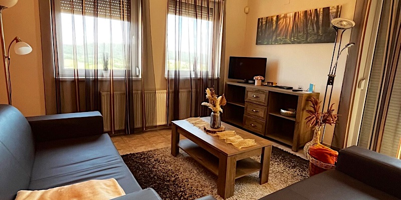 Jégmadár Festő Porta-Dunaszentmiklós-71456