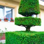 Judit Vendégház-Hévíz-9620