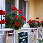 Juhász Vendégház-Tiszanána-36135