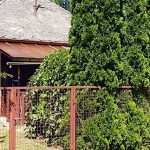 Kálmánka Házikó-Zamárdi-29490