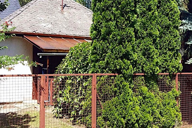 Kálmánka Házikó-Zamárdi-29490