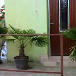 Kárpáti Motel-Budapest-35688