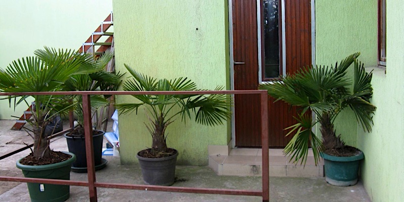 Kárpáti Motel-Budapest-35688