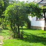 Kéknefelejcs Vendégház-Szatta-28126