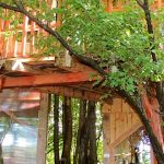 Kerca BioFarm-Kercaszomor-35320