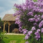 Kerekeskút Vendégház-Őriszentpéter-28237
