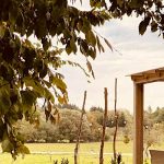 Kis Juhász Vendégház-Kerkafalva-70018