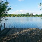 Kis Tisza Horgász Vendégház-Tiszaug-41068
