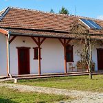 Kis kócsag PihenőPorta-Sarud-43353