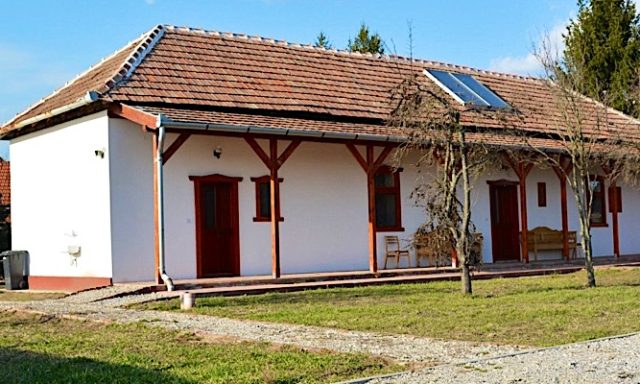 Kis kócsag PihenőPorta-Sarud-43353