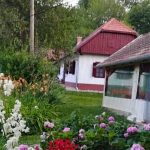 Kisaranyos Vendégház-Velemér-28129