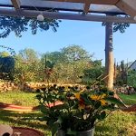 Kismadár Vendégház-Felsőörs-61581