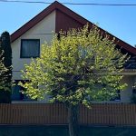 La Vita Pihenőház-Gyomaendrőd-60778