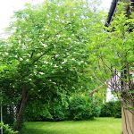 Laura Apartman-Badacsony-30221