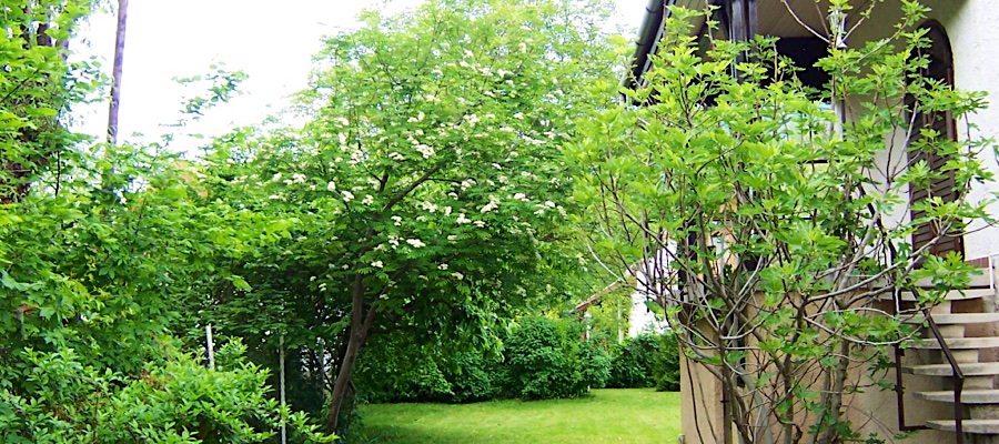 Laura Apartman-Badacsony-30221