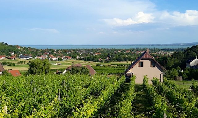Lekics Pince és Vendégház-Balatongyörök-30963