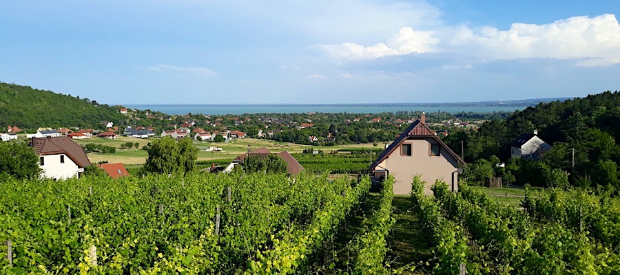 Lekics Pince és Vendégház-Balatongyörök-30963