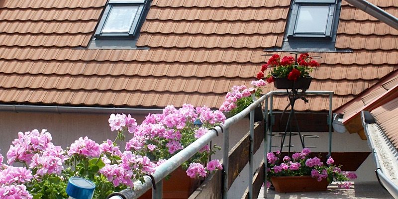 Leó Fogadó-Tapolca-42842