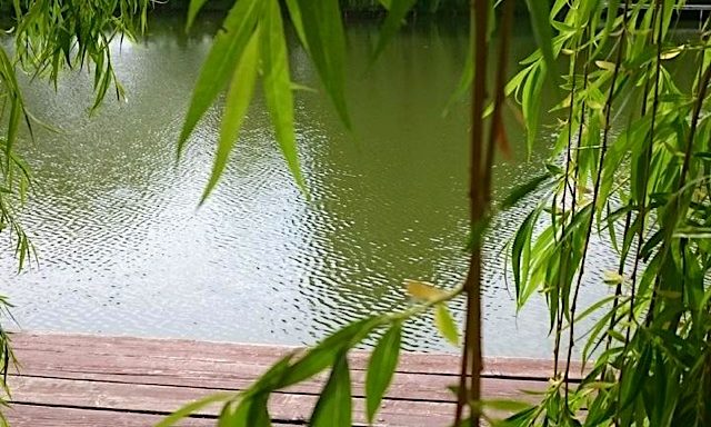 Levendula Apartmanház-Gyomaendrőd-27914