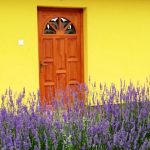 Levendula Vendégház-Tiszafüred-35967