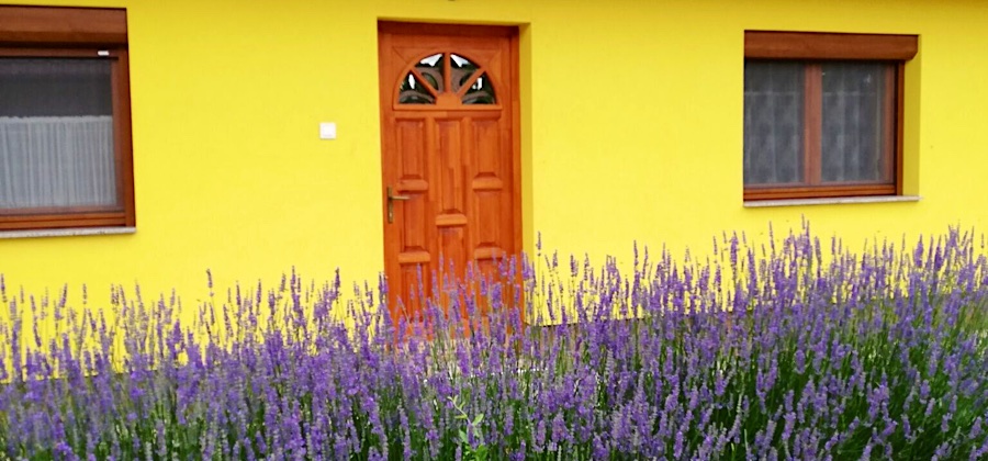 Levendula Vendégház-Tiszafüred-35967
