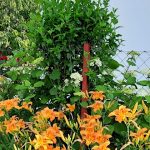 Levendula Vendégház-Poroszló-35987