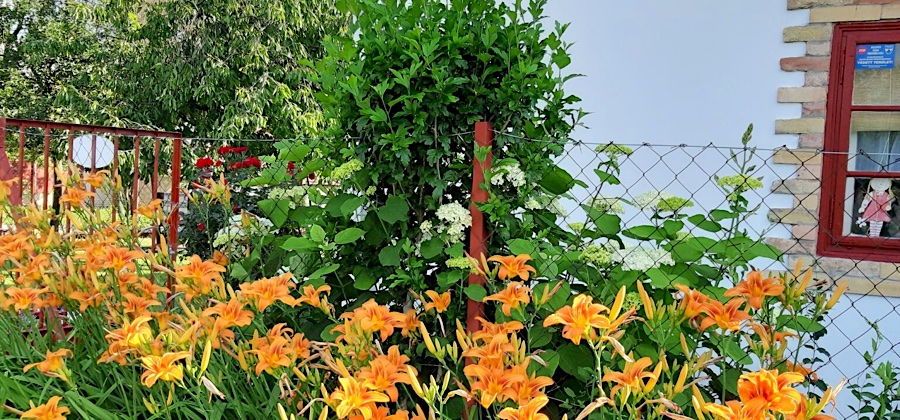 Levendula Vendégház-Poroszló-35987