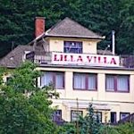Lilla Villa-Hámor-24360