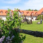 Lóbarát Lovasudvar Panzió-Cserszegtomaj-31354