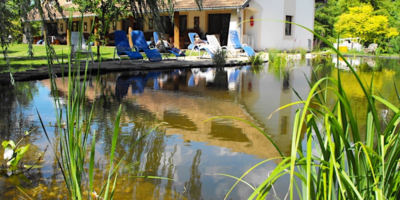 Lovaspanzió-Hévíz-42516