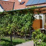 Luca Háza Panzió-Feketeerdő-42690