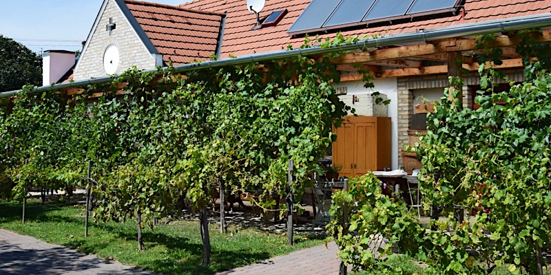 Luca Háza Panzió-Feketeerdő-42690