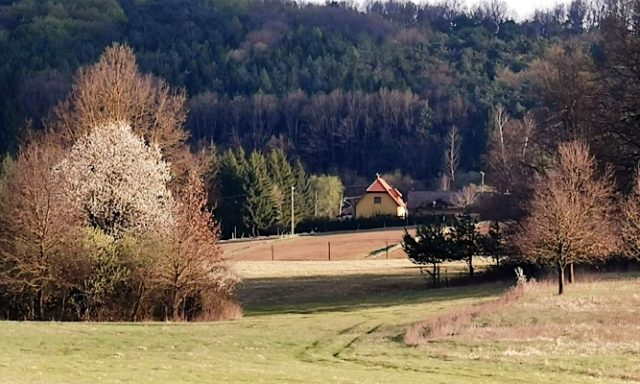Lugosvölgyi Vendégház-Kondorfa-68925