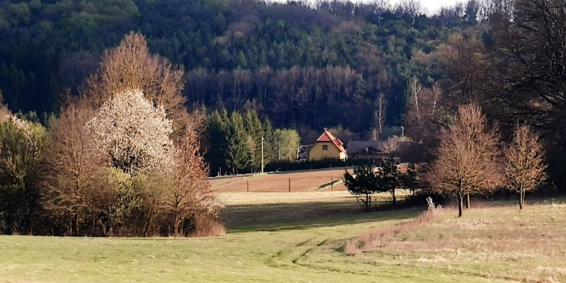 Lugosvölgyi Vendégház-Kondorfa-68925