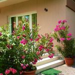 Luxus Apartman-Siófok-23396