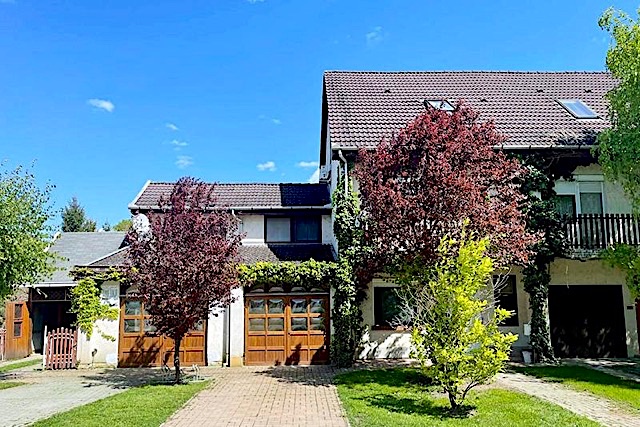 Malom Utcai Vendégház-Szarvas-29885