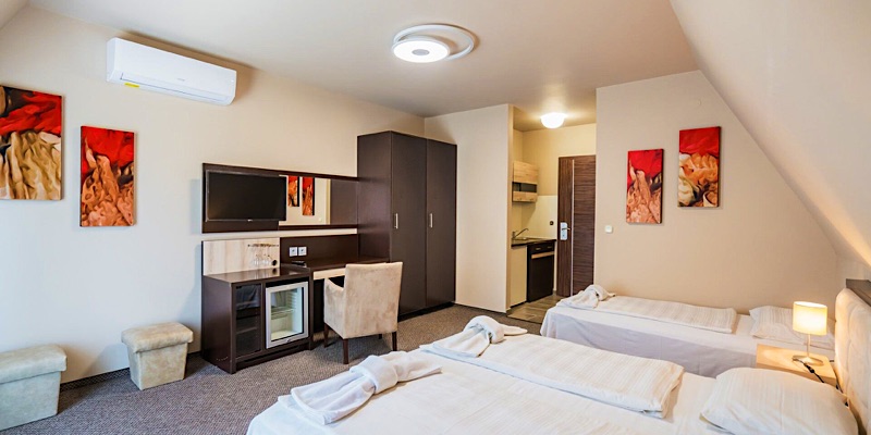 Malom és Kacsa Boutique Hotel-Tata-78059