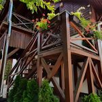 Martinek Udvarház-Hajdúnánás-42473