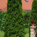 Meni Apartmanház-Balatonföldvár-30673