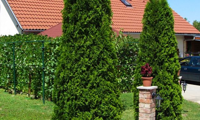 Meni Apartmanház-Balatonföldvár-30673