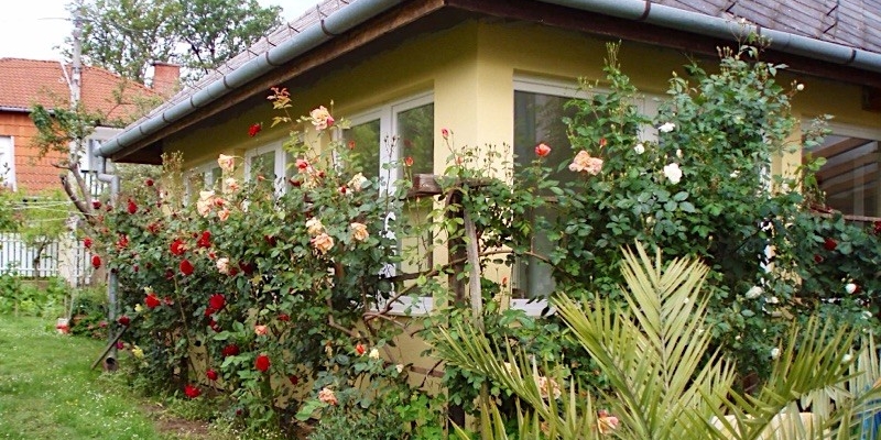 Mismás Panzió-Zalakaros-33444