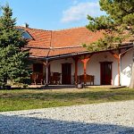 Nagy Kócsag PihenőPorta-Sarud-43397