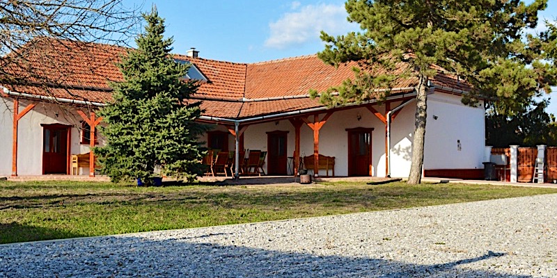 Nagy Kócsag PihenőPorta-Sarud-43397