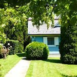 Napraforgó Nyaraló-Békésszentandrás-30129