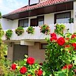 Németh Vendégház-Tiszaföldvár-17985