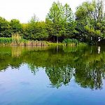 Nikolett Nyaraló-Gyomaendrőd-26155